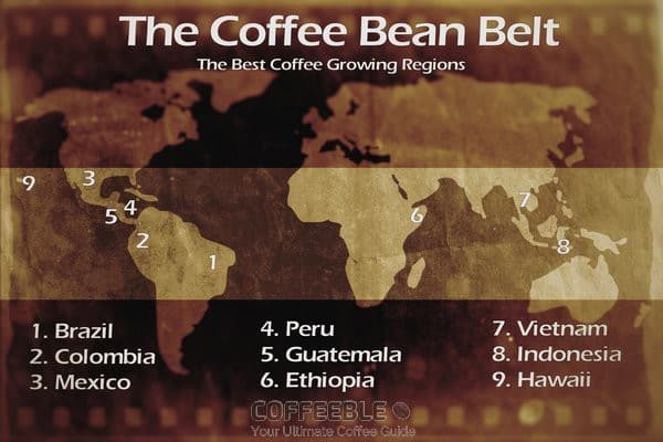 Coffee Culture Around The World Coffeeble