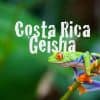 Geisha-coffee-costa-rica__68198.1468618899.png-2