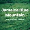 volcanica-jamaican-wallenford-estate
